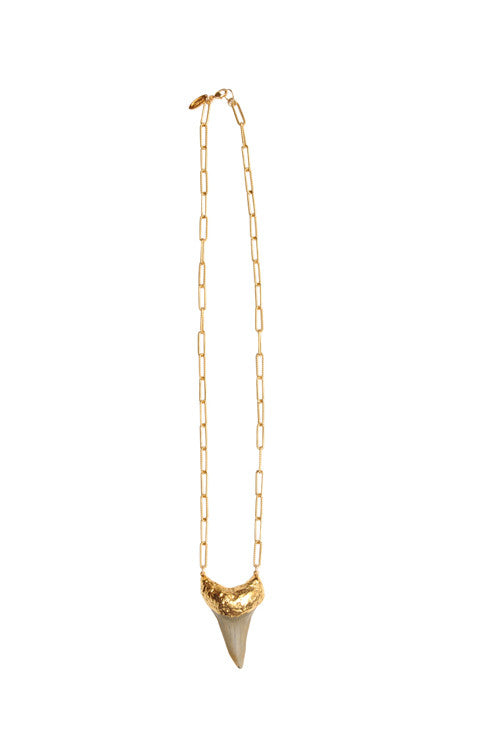 Golden Sunset Shark Tooth Necklace