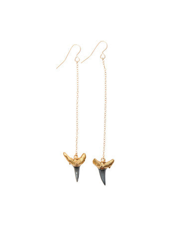 Baby Shark Tooth Earrings – Heather Gardner