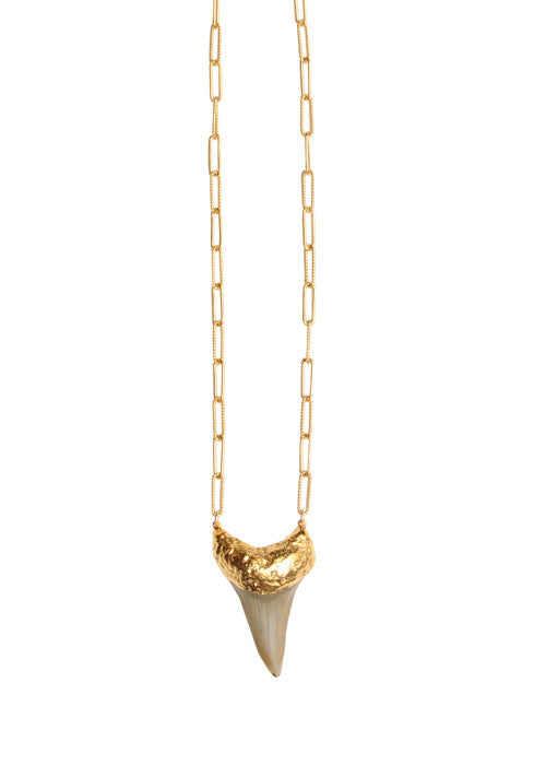 Golden Sunset Shark Tooth Necklace – Heather Gardner