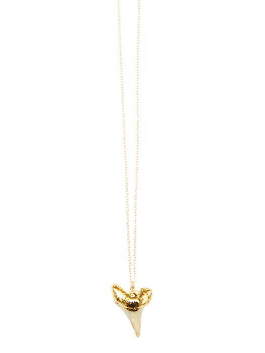 Petite Shark Tooth Necklace